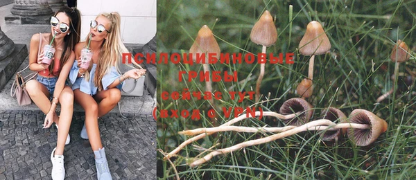 молекула духа Вяземский