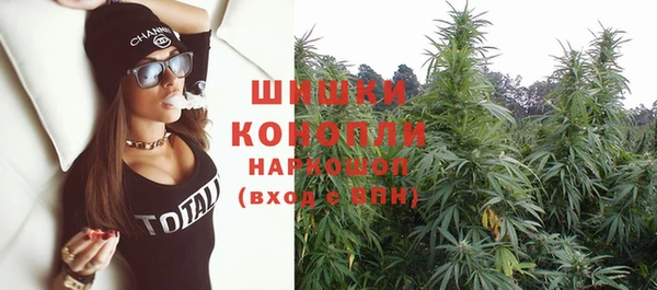 молекула духа Вяземский