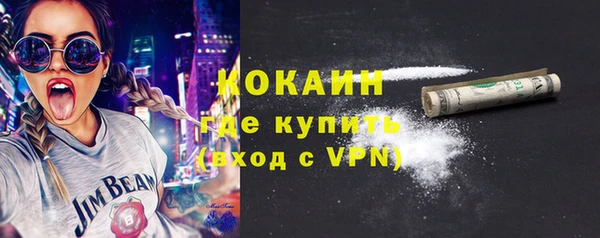молекула духа Вяземский